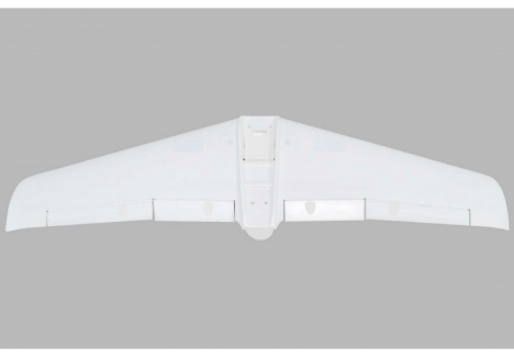 EFL Painted Wing  V1200 Z-EFL12352